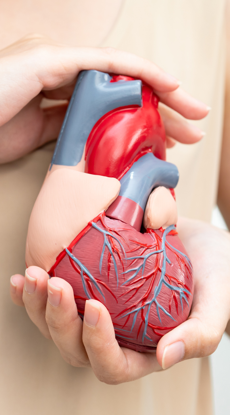 Projekt bez nazwy - 2026-02-12T150014.963